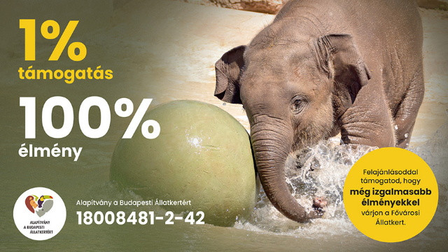 adó egyszázalék - Állatkerti Alapítvány