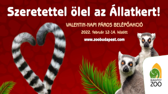 Valentin-napi pros akci - Budapesti llatkert