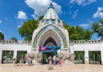 Tovább nőtt a Budapesti Állatkert látogatottsága - Tavaly több mint 1,1 millió látogatót fogadtak