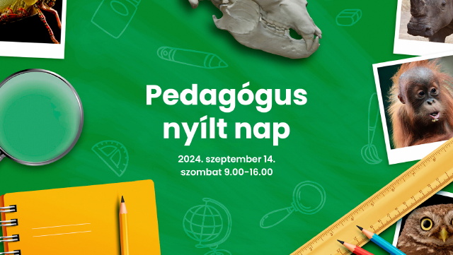 Pedaggus nylt nap az llatkertben