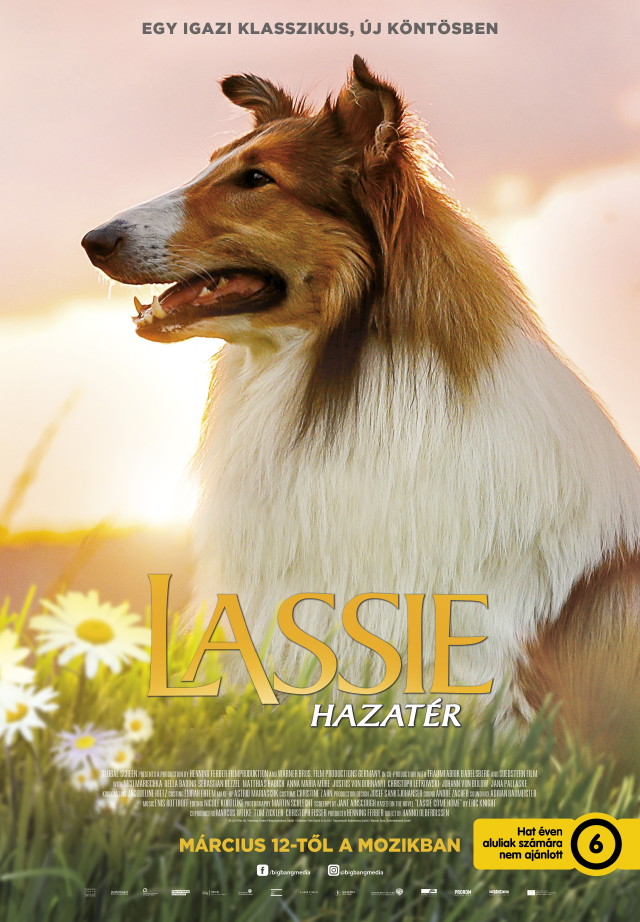 Lassie hazatr plakt