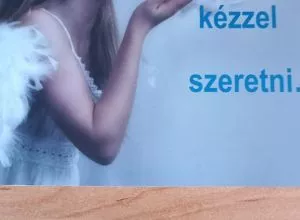 Szakellátás, Házi vervetel ,beteg apolás, gyógy torna