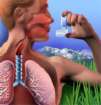 Az asztma gygyszerei nvelik a szrkehlyog kockzatt