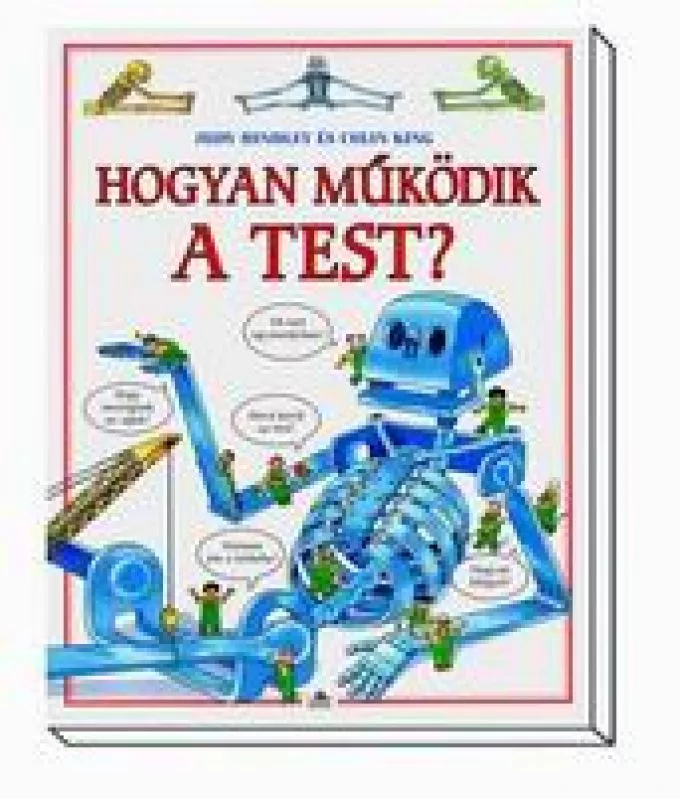 Hogyan működik a test?