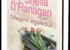 Sheila O´Flanagan: Megint egyedül