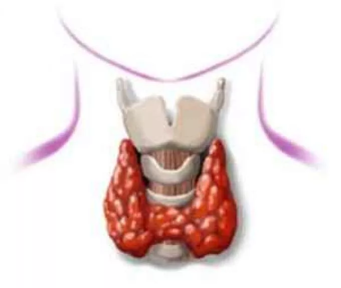 Pajzsmirigy-betegségek: a TSH érték önmagában kevés a diagnózishoz