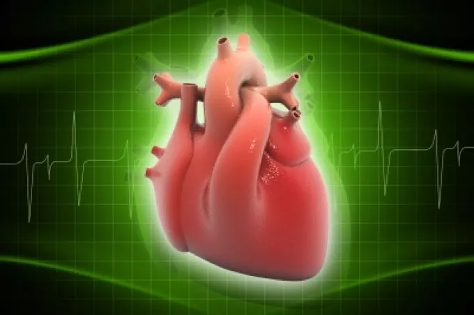 Szűrővizsgálatot javasolnak a hirtelen szívhalál miatt elhunytak rokonainak