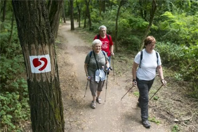 Szív- és érrendszeri betegek rehabilitációját segítő túraösvényt avattak Budapesten