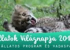 20 szuper állatos program és vadaspark az Állatok Világnapja alkalmából