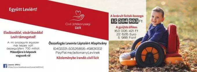 Jótékonysági licit Levi gyógyulásáért