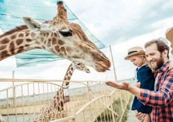 Az egyszülős családokra is gondolnak: új, kedvezményes belépőjegyek a budapesti Állatkertben