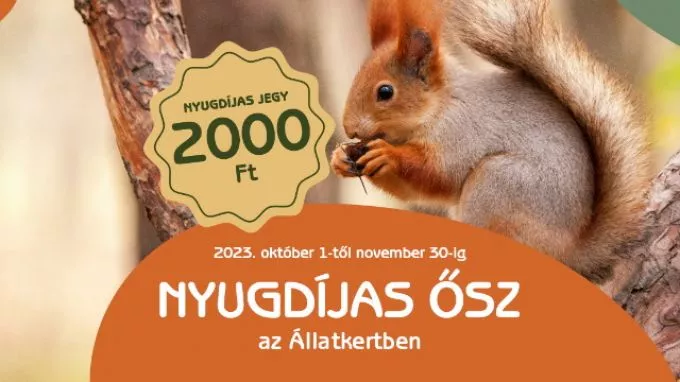 November végéig tart a Nyugdíjas Ősz az Állatkertben - Kedvezmények és programok várják a szépkorúakat