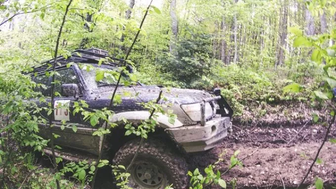 Túrázó, kiszáradt gyereket és apját mentette ki a Börzsönyi Hegyimentő Szolgálat