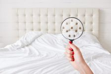 Így előzd meg az ágyi poloska fertőzést a nyári utazási időszakban
